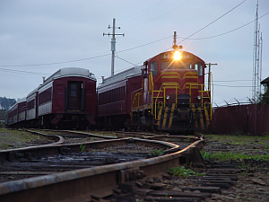 skunk train